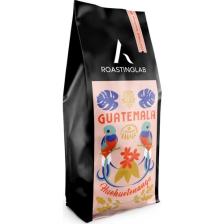 A Roasting Lab Guatemala Huehuetenango (250 Gram) Filtre Kahve (French Press)