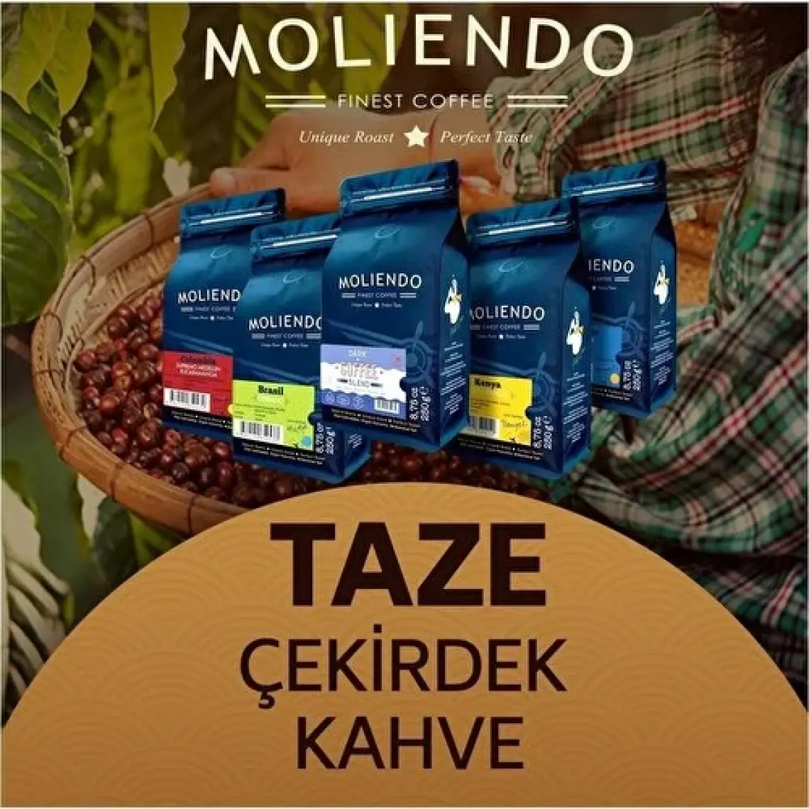 Moliendo Amalfi Espresso Blend Çekirdek Kahve 250 gr