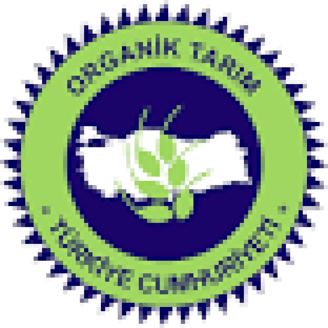 Essen Organik Arpa Şehriye 500 gr