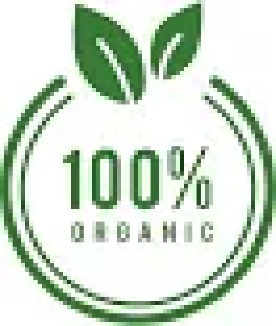 Essen Organik Arpa Şehriye 500 gr