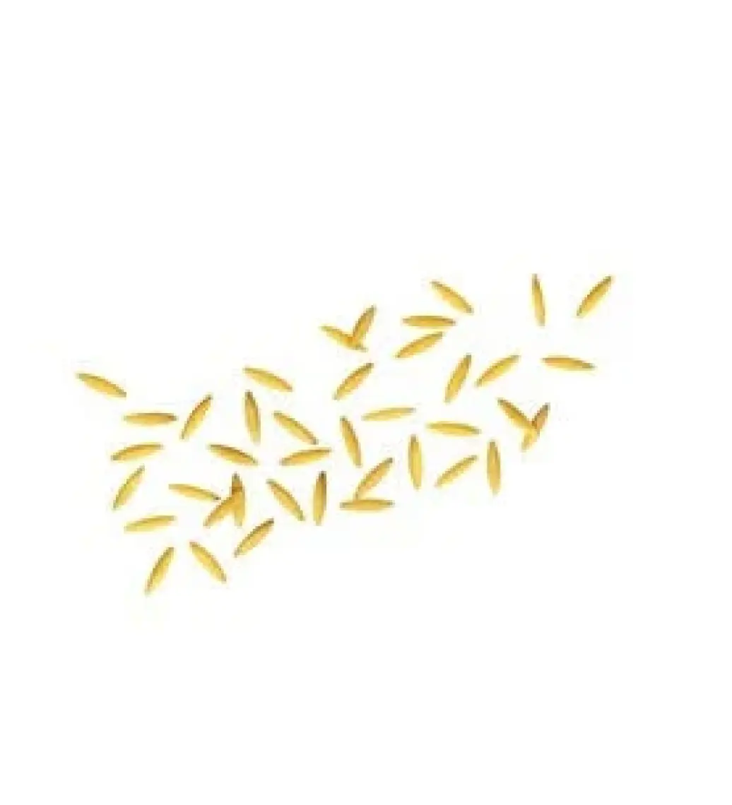 Barilla Arpa Şehriye/ Risoni 500 Gr