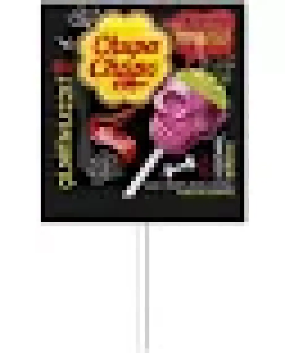 Vivident Chupa Chups Skull Lolipop 25 Adet