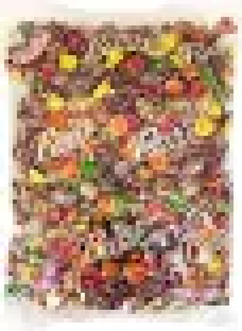 Şölen Butik Mini Bonbon Bayram Şekeri 1 kg