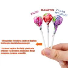 Organik Lolipop (ÇİLEK, KARPUZ, YABAN MERSİNİ VE C VİTAMİNİ) - 1 Paket