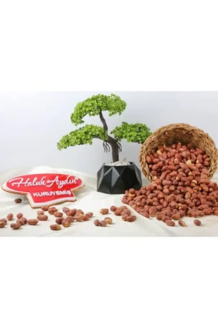 Haluk Aydın Kuruyemiş Fıstık İçi Tuzlu 500 gr