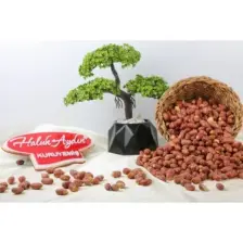 Haluk Aydın Kuruyemiş Fıstık İçi Tuzlu 500 gr