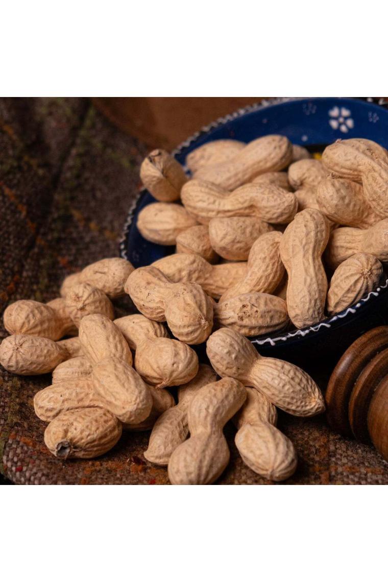 Kavrulmuş Kabuklu Fıstık 500GR