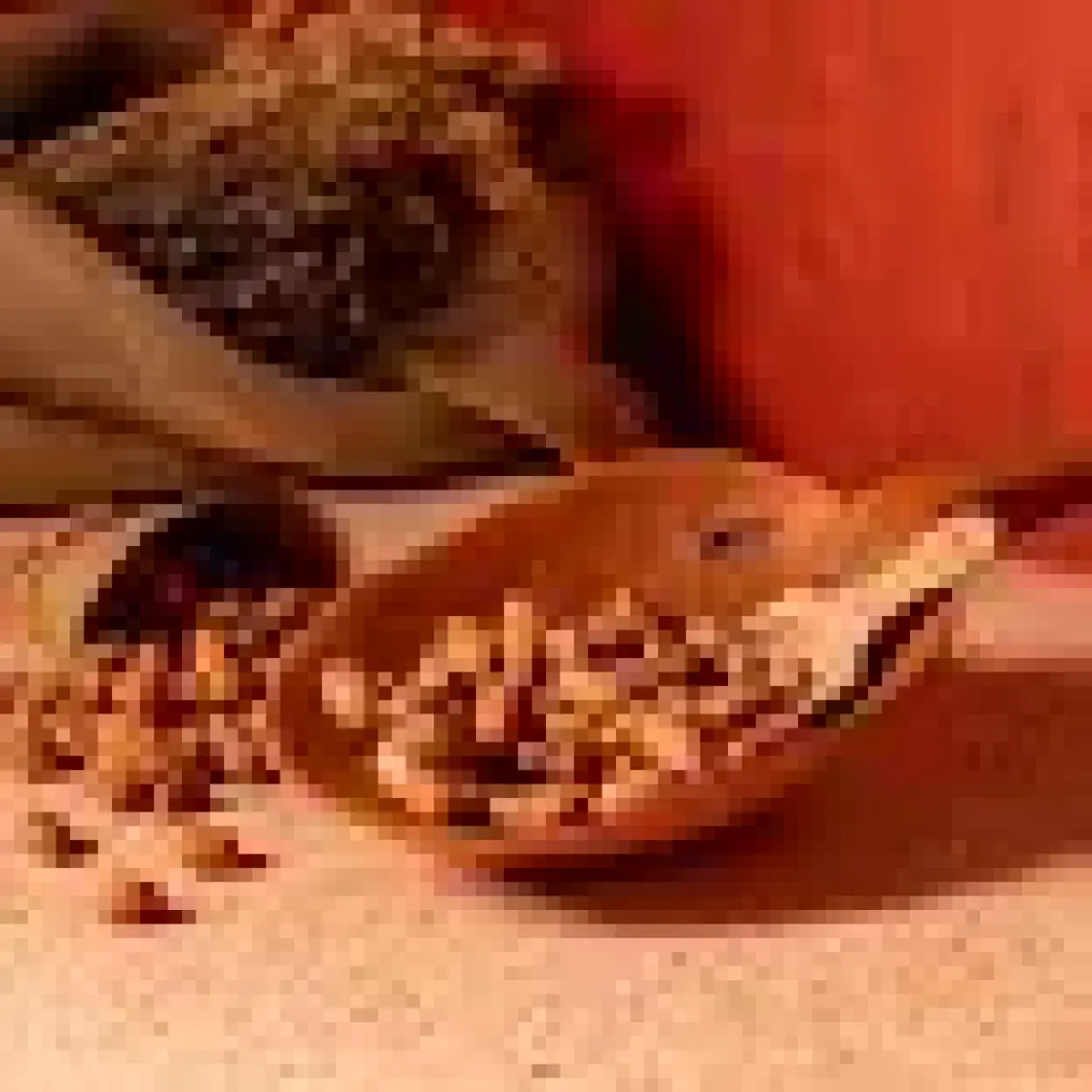 Çakır Çerez Osmaniye Çiğ Fıstık 1 KG