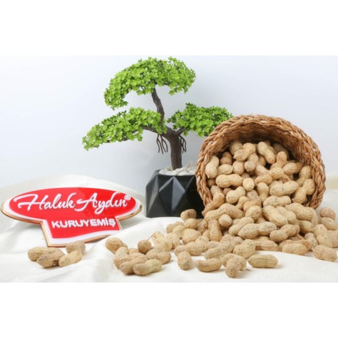 Haluk Aydın Kuruyemiş Kabuklu Fıstık Tuzsuz 500 gr - Haluk Aydın Kuruyemiş