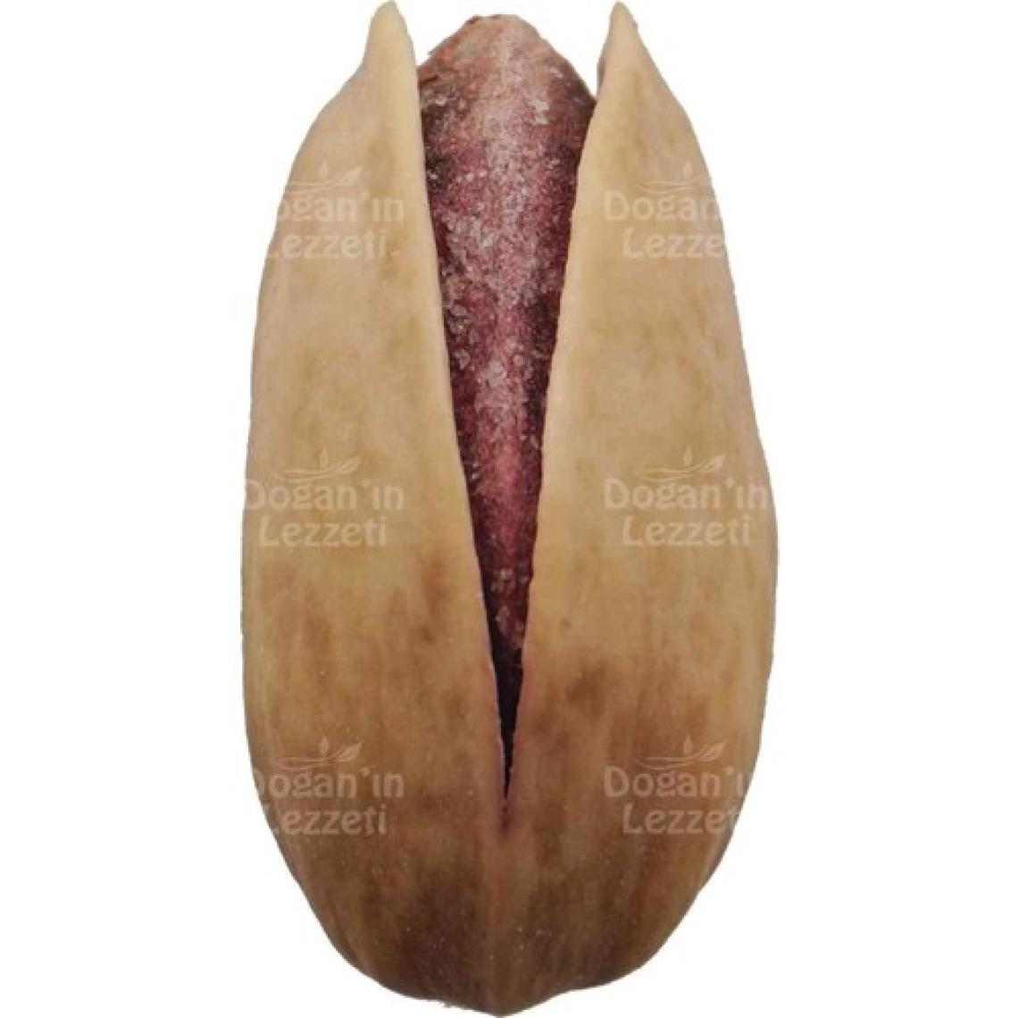 Doğan'ın Lezzeti Ana Çıtlak Antep Fıstığı 1 kg