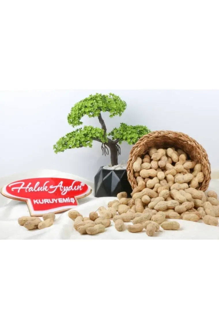Haluk Aydın Kuruyemiş Kabuklu Fıstık Tuzsuz 1000 gr