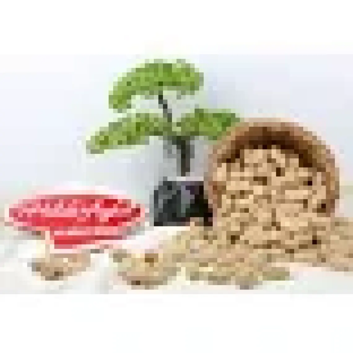 Haluk Aydın Kuruyemiş Kabuklu Fıstık Tuzsuz 1000 gr