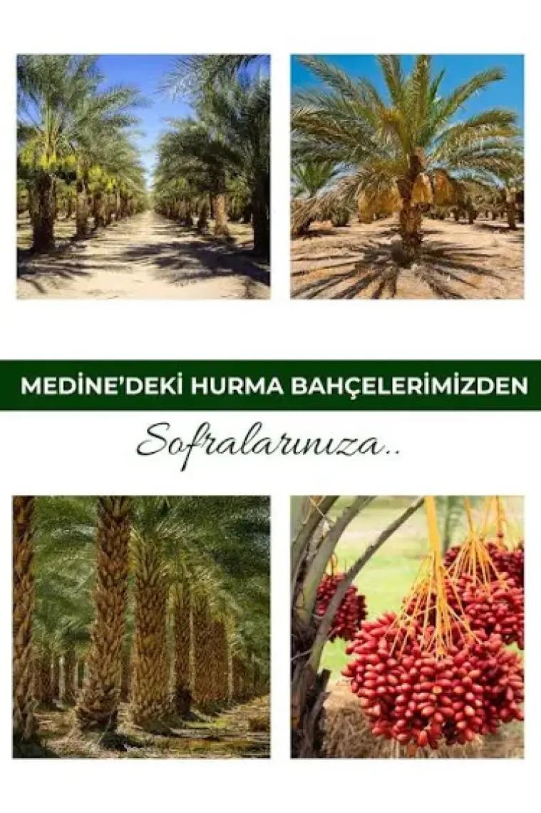 Payitaht Hurma Medine Şakra Hurması 3kg