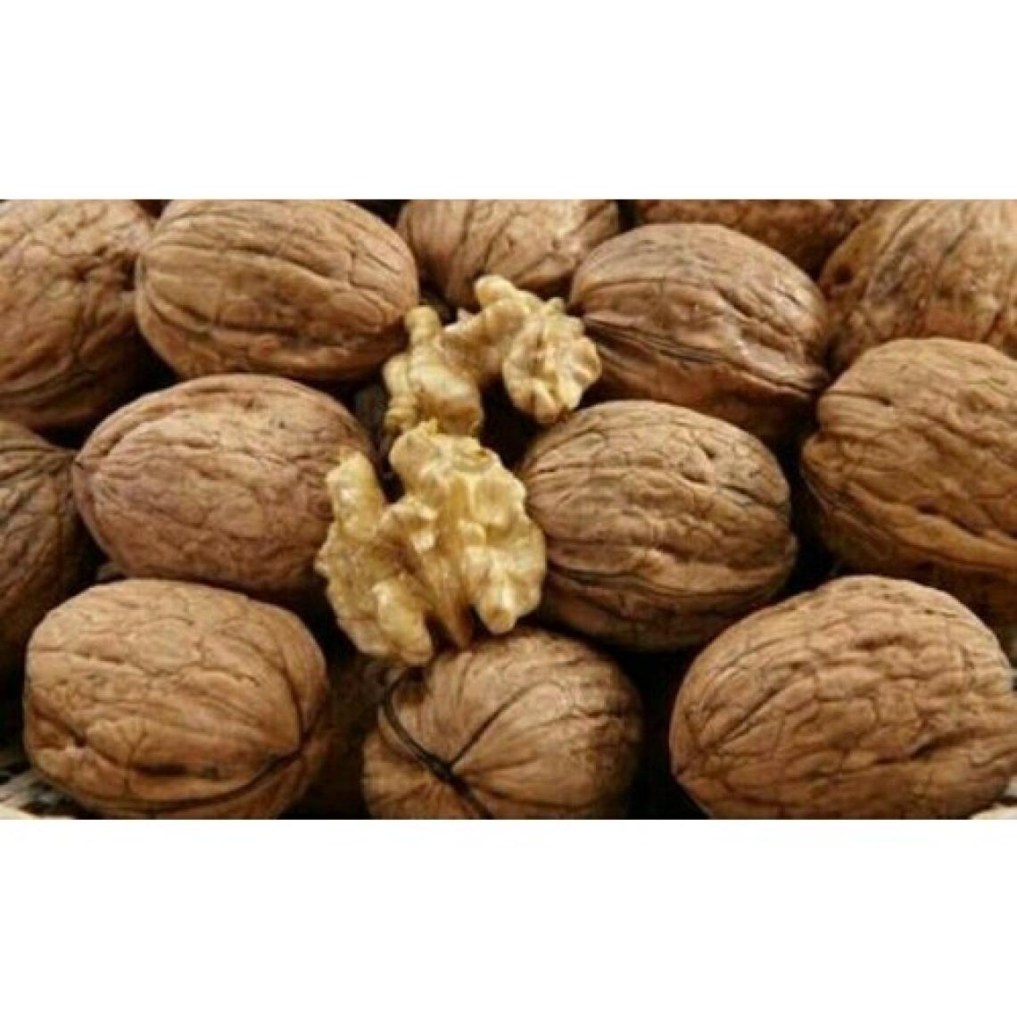 Safigıda Kabuklu Ceviz 1 kg (Yerli) İlaçsız