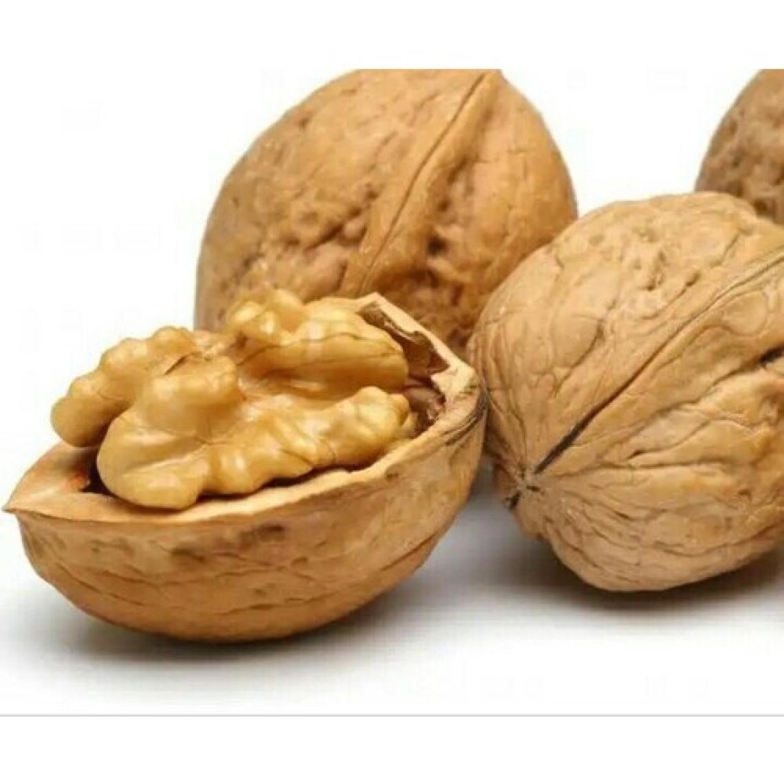 Safigıda Kabuklu Ceviz 1 kg (Yerli) İlaçsız