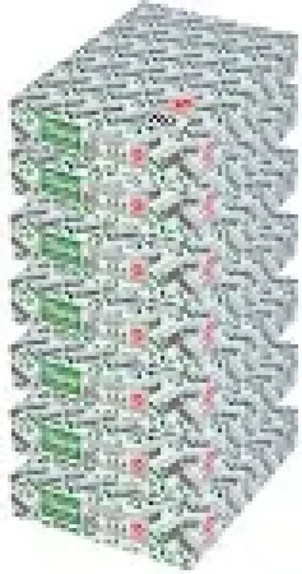 Copier Bond (Ve-Ge) A4 80GR/M2 Fotokopi Kağıdı 3500 Adet (7PK*500)