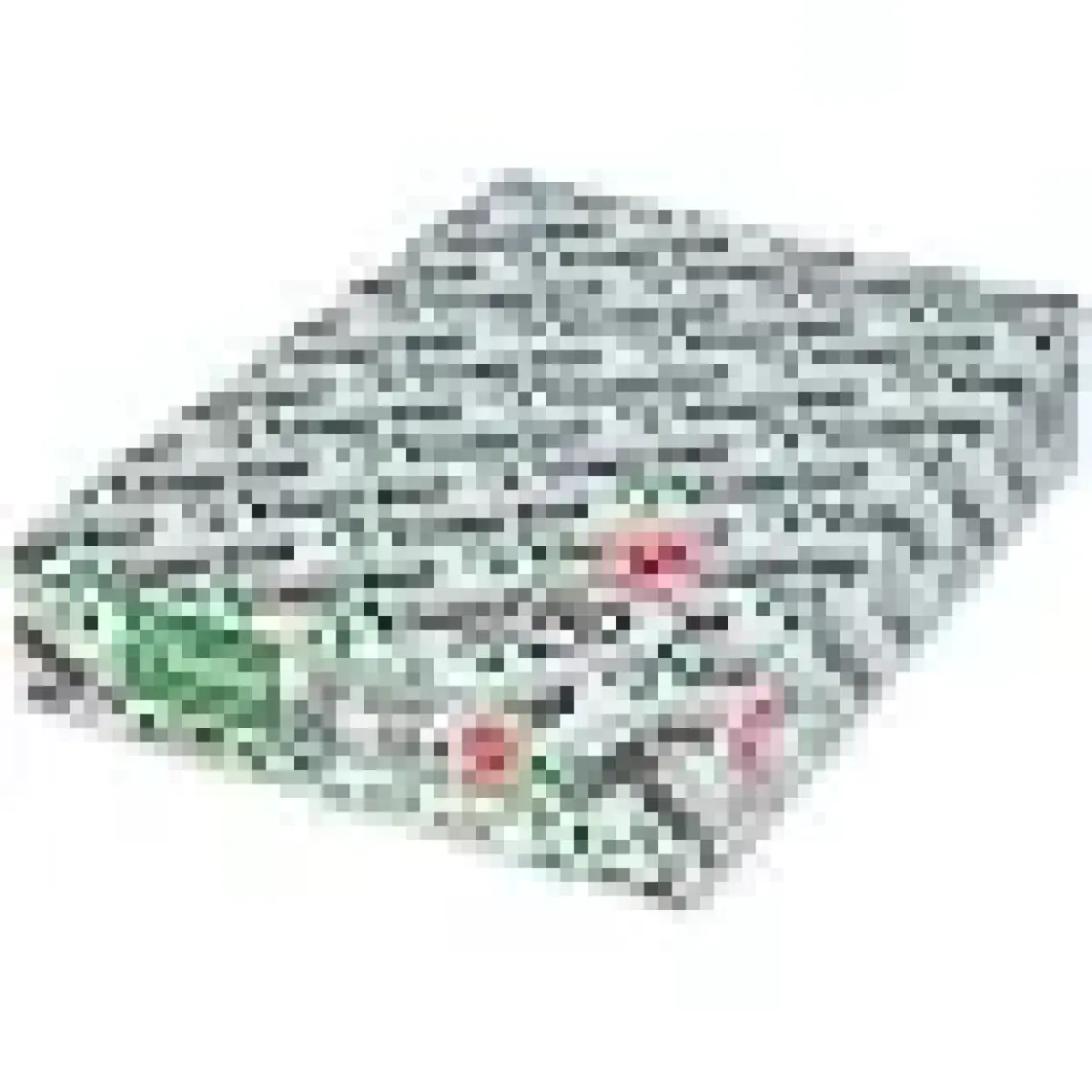 Copier Bond (Ve-Ge) A4 80GR/M2 Fotokopi Kağıdı 3500 Adet (7PK*500)