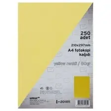 Umur Fotokopi Kağıdı A4 80Gr Renkli Pınk 170