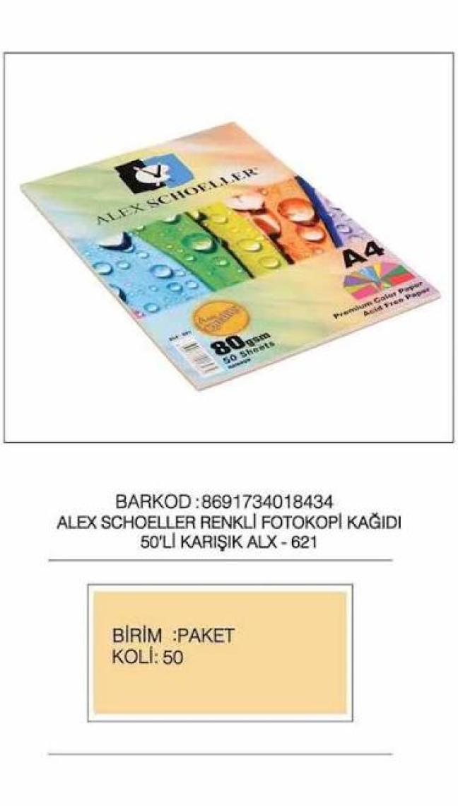 Alex Schoeller A4 Renkli Fotokopi Kağıdı 5 Renk - 50 Adet ALX-621