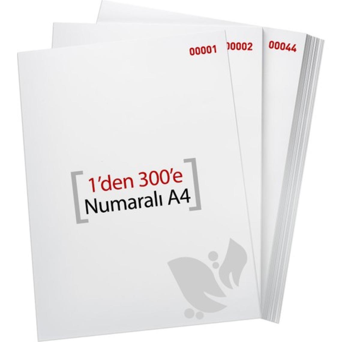 Eren A4 Numaralı Kağıt 1-300 / 80 Gr