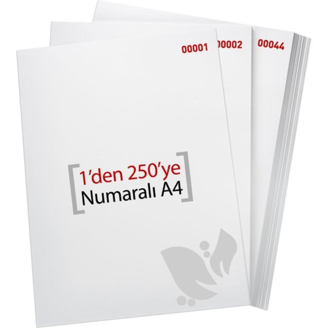 Eren A4 Numaralı Kağıt 1-250/ 80 Gr