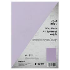 Umur Fotokopi Kağıdı A4 80Gr Renkli Lavender 185