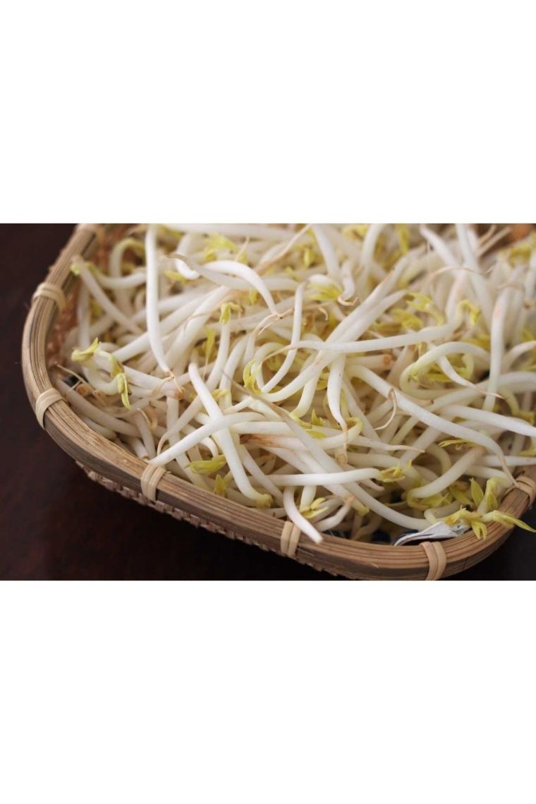 Soya ( Fasulye ) Filizi 400 Gr.