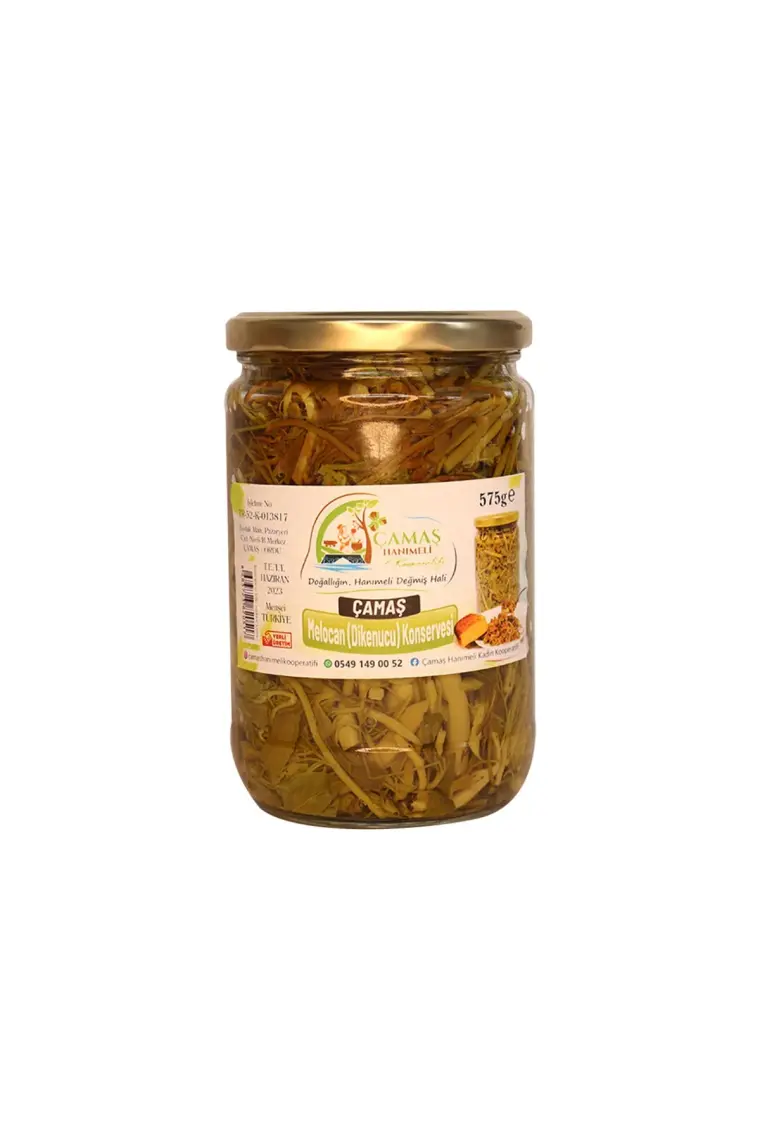 Çamaş Hanımeli Kooperatifi Melocan (Diken Ucu) Konservesi 575 gr (1adet )
