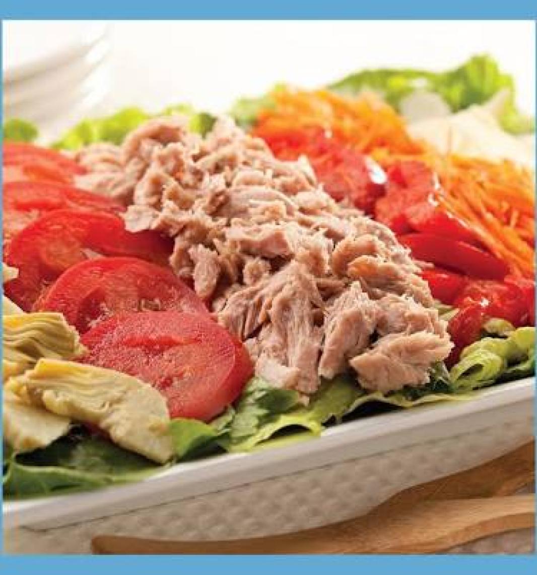 Dardanel Ton Balığı Ekonomik 160 gr 24 Adet