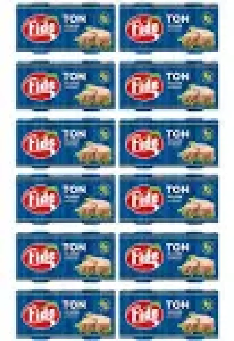 Fide Klasik Ton Balığı 24 X 160 gr
