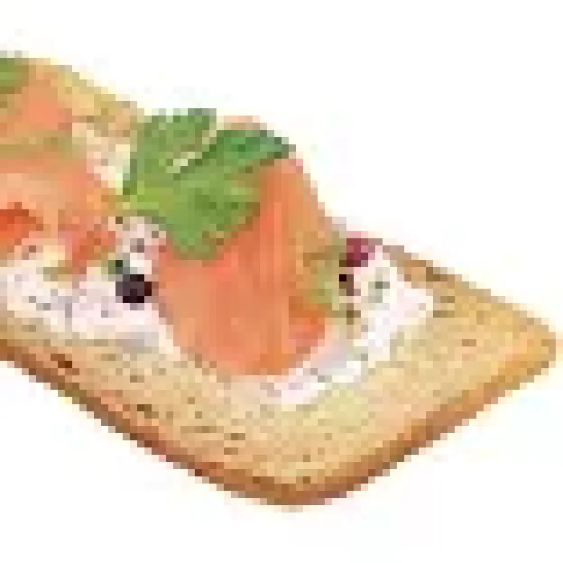 Van Der Meulen Melba Toast Kıtır Ekmek 100 g