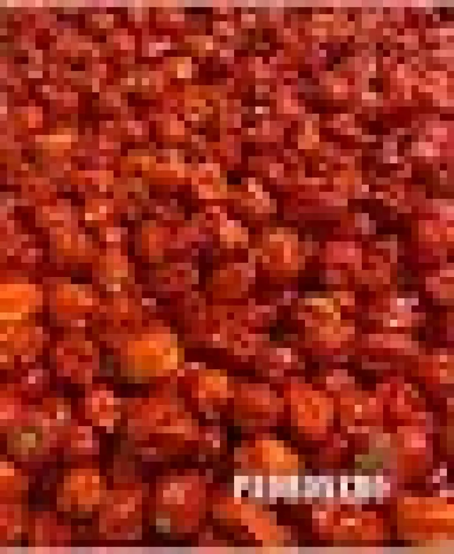 Padronero Red Habanero Acı Sos 200 ml.