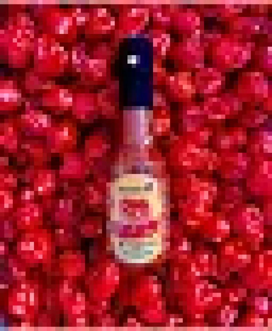 Padronero Red Habanero Acı Sos 200 ml.