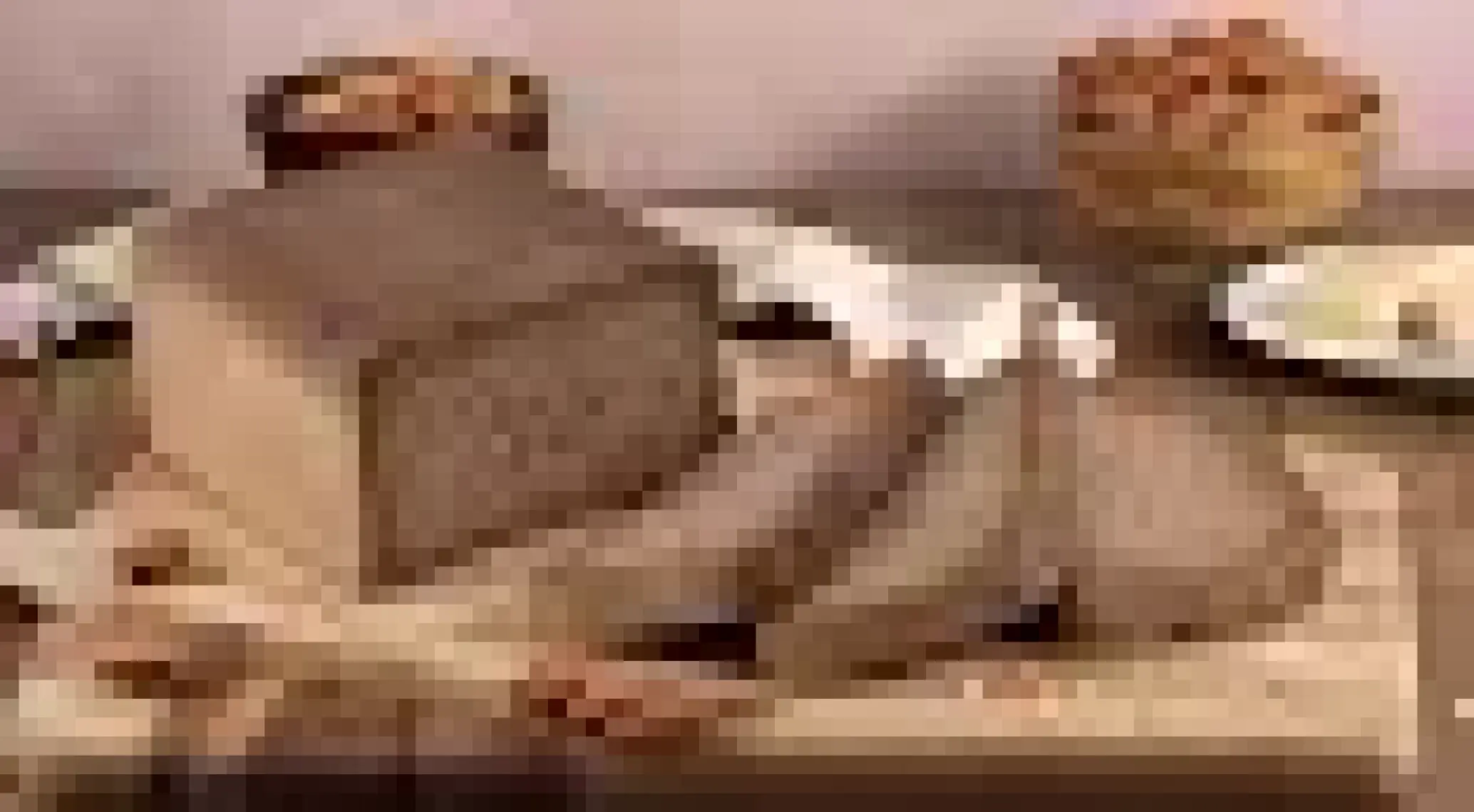 Ebruli Doğal Bakkal Ketojenik Glutensiz Tost Ekmeği 1000 Gr.