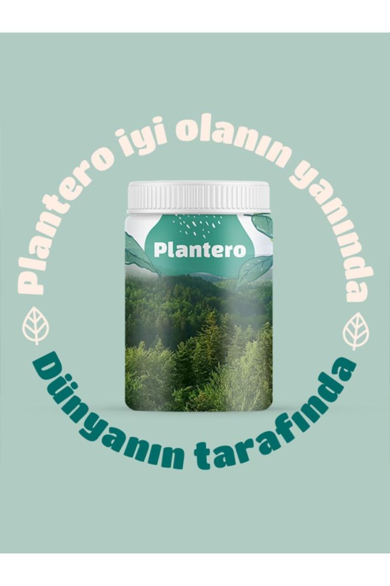 Plantero Çikolatalı Protein Isolate Blend ™ Supergreens Mix Vitamins