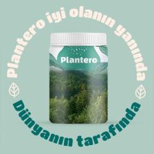 Plantero Çikolatalı Protein Isolate Blend ™ Supergreens Mix Vitamins