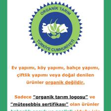 Soul Kitchen Organik Çizik Domat Yeşil Zeytin 300 gr