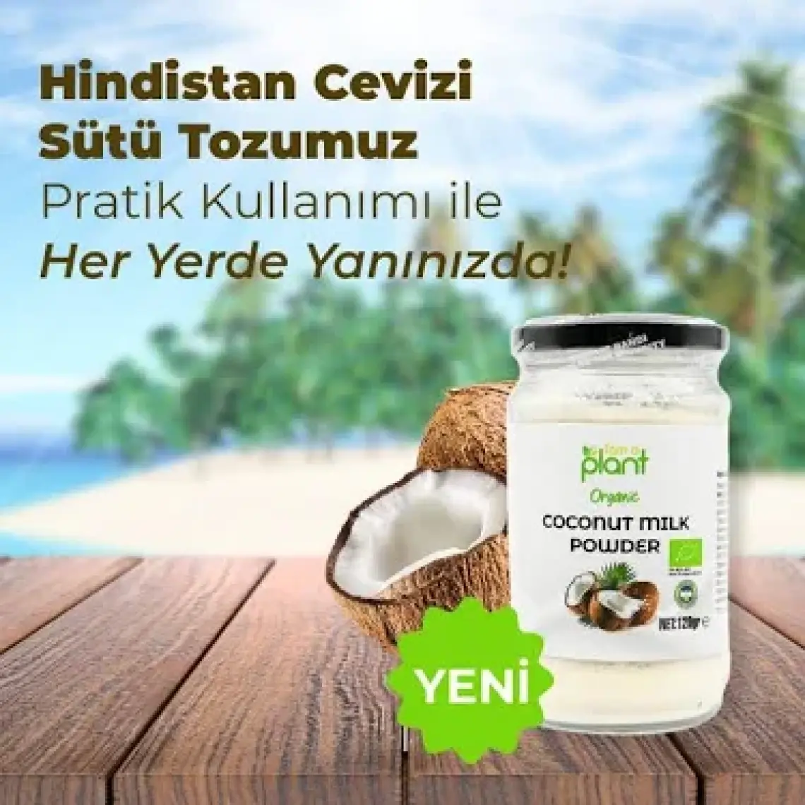 Güzel Ada Gıda Organik Hindistan Cevizi Sütü Tozu 120 Gr