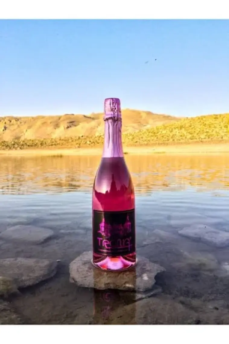 Trona Çilek Aromalı Alkolsüz İçeçek 75 cl