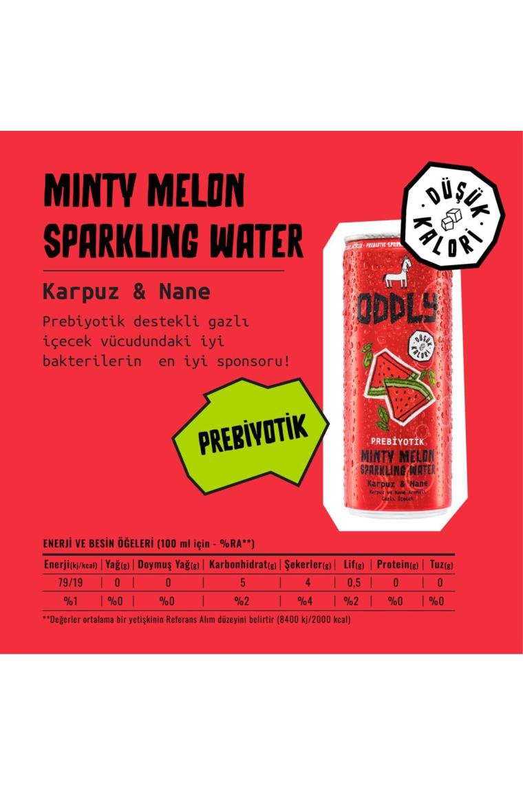 ODDLY Mınty Melon Karpuz Nane Kutu 250 ml x 8 Adet
