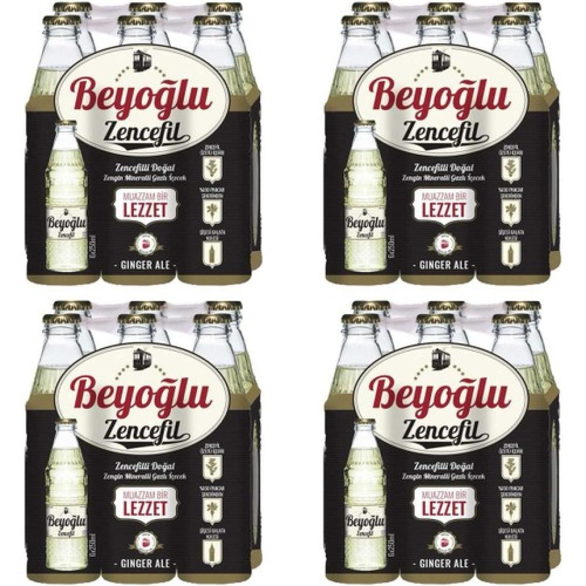 Beyoğlu Zencefilli Doğal Zengin Mineralli Gazlı Içecek 24X250 ml (Ginger Ale)