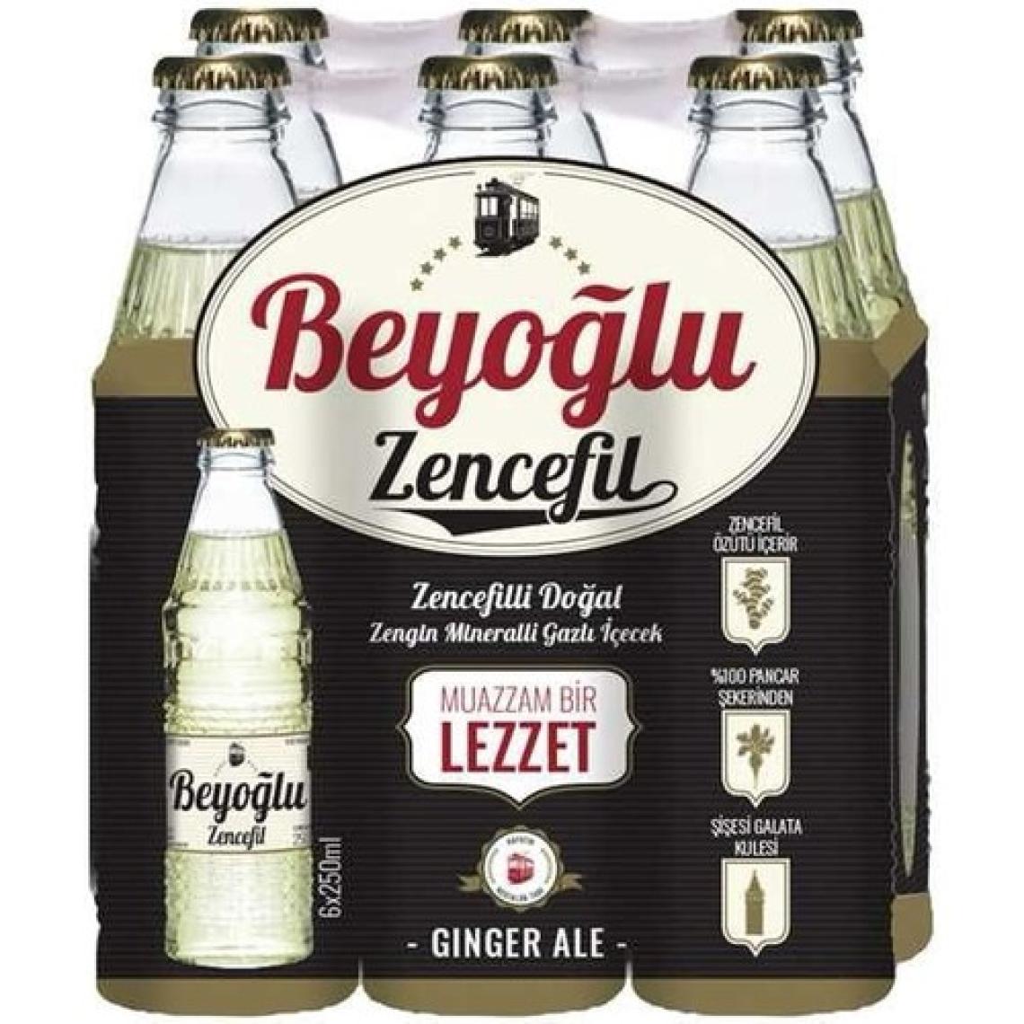 Beyoğlu Zencefilli Doğal Zengin Mineralli Gazlı Içecek 24X250 ml (Ginger Ale)