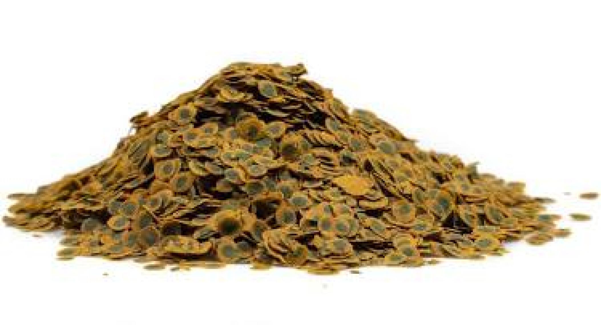 Tetra Pro Algae Crisps 250 Ml