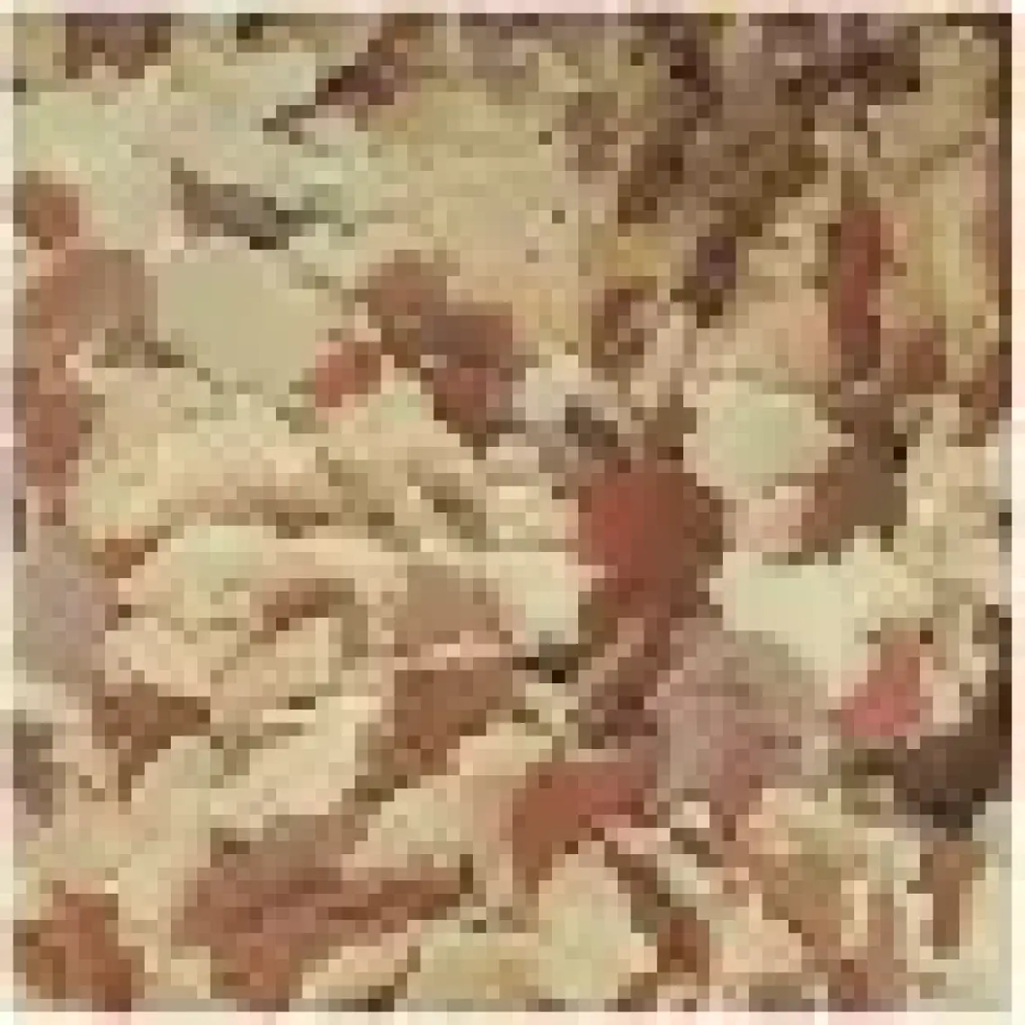 Tropical Flake 100 ml 20 gr