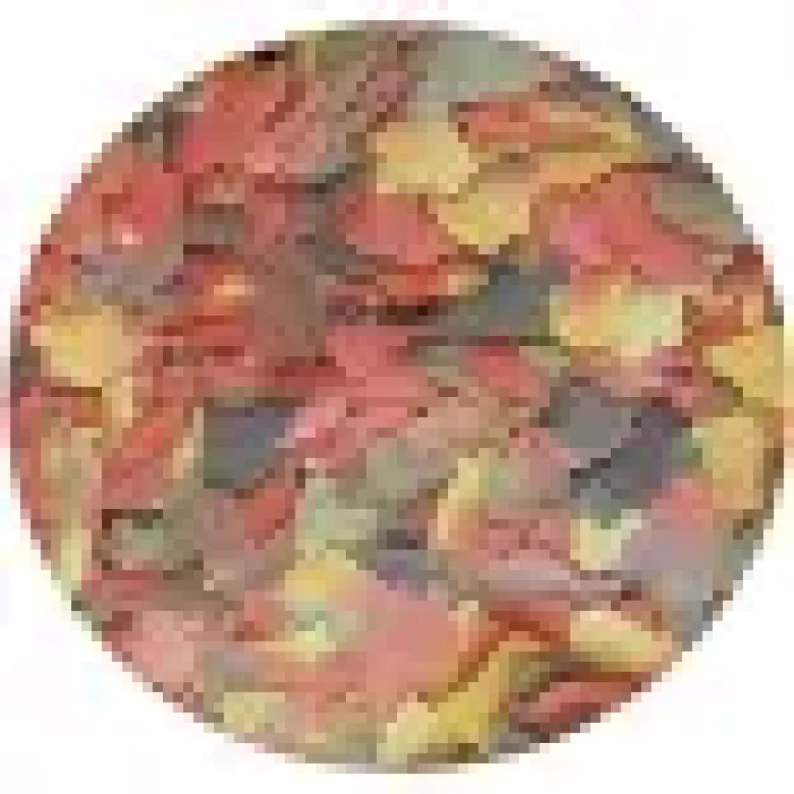 Tropical Ichtio-Vit 100ML 20GR