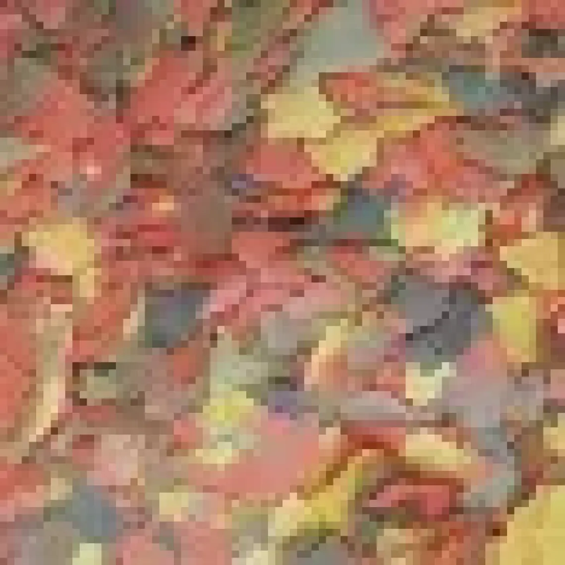 Tropical Ichtio-Vit 100ML 20GR