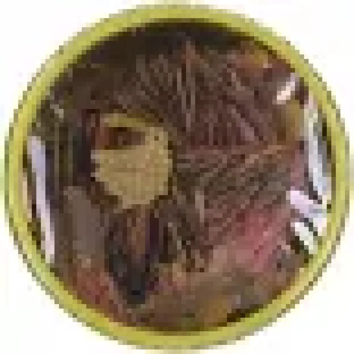 Tropical Ichtio-Vit 100ML 20GR