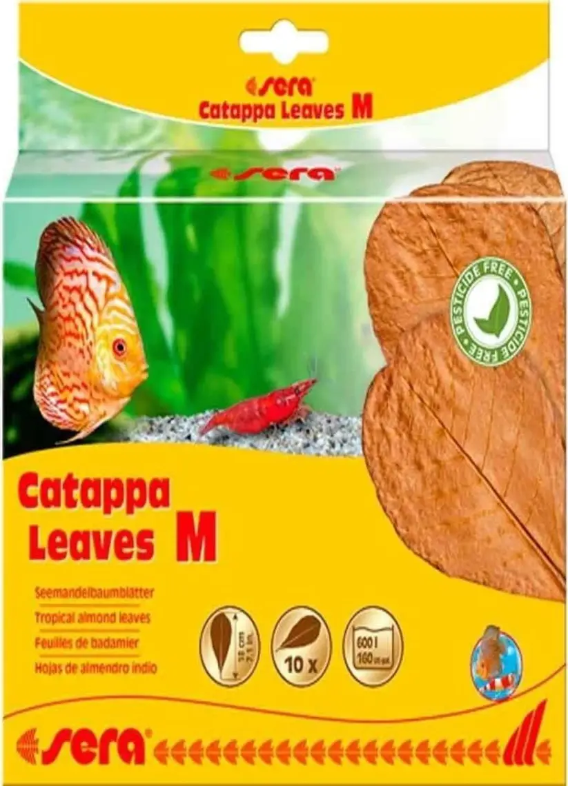 Sera Catappa Yaprağı M 18 cm 10 Adet