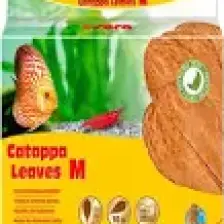 Sera Catappa Yaprağı M 18 cm 10 Adet