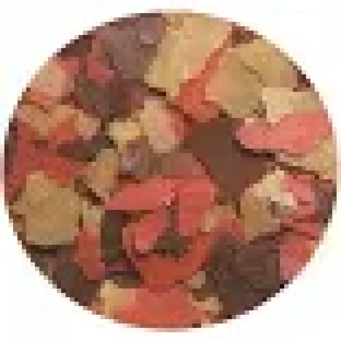 Tetra Goldfısh Balık Yemi 100 Ml